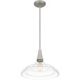 Quoizel  Transitional Pendant 1 light QZL-QP5568