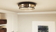 Quoizel  Transitional Flush mount 3lt QZL-QF3411