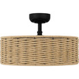 Quoizel Lighting QFA6201 Global Fan light 4 lights
