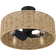 Quoizel Lighting QFA6201 Global Fan light 4 lights