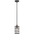 Quoizel QZL-QPP4046 Transitional Mini pendant 1 light