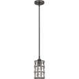 Quoizel QZL-QPP4046 Transitional Mini pendant 1 light