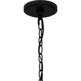 Quoizel Lighting QP5573 Coastal Pendant 4 Lights