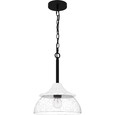 Quoizel  Coastal Mini pendant 1 light QZL-OTN1512