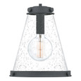 Quoizel  Transitional Mini pendant 1 light mottle black QZL-QP5260