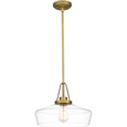 Quoizel  Transitional Pendant 1 light QZL-QP5584