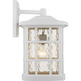 Quoizel Lighting SNN8411 Transitional Outdoor Wall jumbo