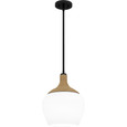 Quoizel QZL-QPPO5603 Coastal Mini pendant 1 light