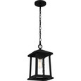 Quoizel  Traditional Outdoor hanging 1 light QZL-SAT1909