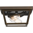 Quoizel Lighting RO1612 Traditional Outdoor flushmount 2 light industrial br