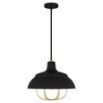 Quoizel  Farmhouse Pendant 1 light QZL-QP5357