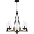 Quoizel QZL-ROC5025 Farmhouse Chandelier 5 lights