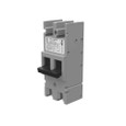 Milbank UQFB-X1 Bolt-On 200 Amp Frame, 10,000 AIC and 22,000 AIC, Two-Pole ‑ Common Trip