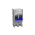 Milbank UQFP Plug-In 200 Amp Frame, 10,000 AIC and 22,000 AIC, Two-Pole ‑ Common Trip