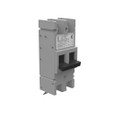 Milbank UQFB Bolt-On 200 Amp Frame, 10,000 AIC and 22,000 AIC, Two-Pole ‑ Common Trip