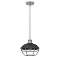 Quoizel  Farmhouse Mini pendant 1 light hed ni QZL-SPP1510