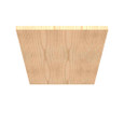 Millbank WB Back Panel Non-UL Listed Wood No Paint No Mounting Holes