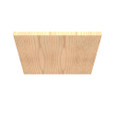 Millbank WB Back Panel Non-UL Listed Wood No Paint No Mounting Holes