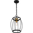 Quoizel  Transitional Outdoor mini pendant 1 light QZL-THY1511