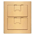 Carlon E9762BR 2-Gang Brass Non-Metallic Rectangular Floor Box Cover Assembly with Watertight Gasket Seal, lids open, front view
