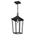 Quoizel Lighting STNL1509 Traditional Mini pendant 1 light