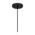 Quoizel Lighting RMI1509 Transitional Mini pendant 1 light
