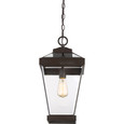 Quoizel Lighting RAV1910 Transitional Outdoor hanging
