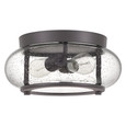 Quoizel Lighting TRG1612 Transitional Flush mount 2 light