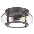 Quoizel Lighting TRG1612 Transitional Flush mount 2 light