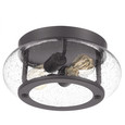 Quoizel Lighting TRG1612 Transitional Flush mount 2 light