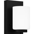 Quoizel Lighting WLB8605 Transitional Bath 1-Light led
