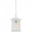 Quoizel  Transitional Outdoor hanging QZL-SNN1909