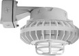 RAB HAZBLED26 26W LED Hazardous Location Wall Bracket Light (5000K, Clear/Frosted Globe or Flat Lens, Guard Options, Gray Finish)