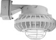 RAB HAZBLED26 26W LED Hazardous Location Wall Bracket Light (5000K, Clear/Frosted Globe or Flat Lens, Guard Options, Gray Finish)