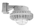 RAB HAZBLED26 26W LED Hazardous Location Wall Bracket Light (5000K, Clear/Frosted Globe or Flat Lens, Guard Options, Gray Finish)