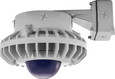 RAB HAZBLED80 80W LED Hazardous Location Wall Bracket Light (5000K, Clear/Frosted/Colored Globe or Flat Lens, Guard Options, Gray Finish)