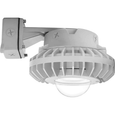 RAB 80W LED Hazardous Location Wall Bracket Light with 5000K Cool White, IP66 Rating, and Die-Cast Aluminum Housing