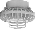 RAB HAZPLED26 26W LED Hazardous Location Wall Bracket Light (5000K, Clear/Frosted Globe or Flat Lens, Guard Options, Gray Finish)