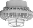 RAB HAZPLED26 26W LED Hazardous Location Wall Bracket Light (5000K, Clear/Frosted Globe or Flat Lens, Guard Options, Gray Finish)