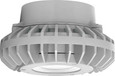 RAB HAZPLED26 26W LED Hazardous Location Wall Bracket Light (5000K, Clear/Frosted Globe or Flat Lens, Guard Options, Gray Finish)