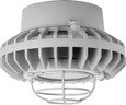 RAB HAZPLED26 26W LED Hazardous Location Wall Bracket Light (5000K, Clear/Frosted Globe or Flat Lens, Guard Options, Gray Finish)