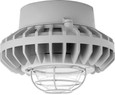 RAB HAZPLED26 26W LED Hazardous Location Wall Bracket Light (5000K, Clear/Frosted Globe or Flat Lens, Guard Options, Gray Finish)