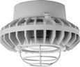 RAB HAZPLED26 26W LED Hazardous Location Wall Bracket Light (5000K, Clear/Frosted Globe or Flat Lens, Guard Options, Gray Finish)
