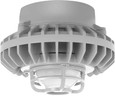 RAB HAZPLED26 26W LED Hazardous Location Wall Bracket Light (5000K, Clear/Frosted Globe or Flat Lens, Guard Options, Gray Finish)