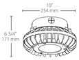 RAB HAZPLED26 26W LED Hazardous Location Wall Bracket Light (5000K, Clear/Frosted Globe or Flat Lens, Guard Options, Gray Finish)