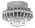 RAB HAZPLED26 26W LED Hazardous Location Wall Bracket Light (5000K, Clear/Frosted Globe or Flat Lens, Guard Options, Gray Finish)