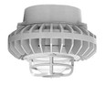 RAB HAZPLED26 26W LED Hazardous Location Wall Bracket Light (5000K, Clear/Frosted Globe or Flat Lens, Guard Options, Gray Finish)