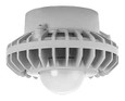 RAB HAZPLED26 26W LED Hazardous Location Wall Bracket Light (5000K, Clear/Frosted Globe or Flat Lens, Guard Options, Gray Finish)
