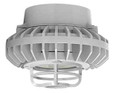 RAB HAZPLED26 26W LED Hazardous Location Wall Bracket Light (5000K, Clear/Frosted Globe or Flat Lens, Guard Options, Gray Finish)