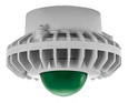 RAB HAZPLED26 26W LED Hazardous Location Wall Bracket Light (5000K, Clear/Frosted Globe or Flat Lens, Guard Options, Gray Finish)